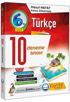 6. Sınıf Deneme 10 Türkçe 2019 -14.90